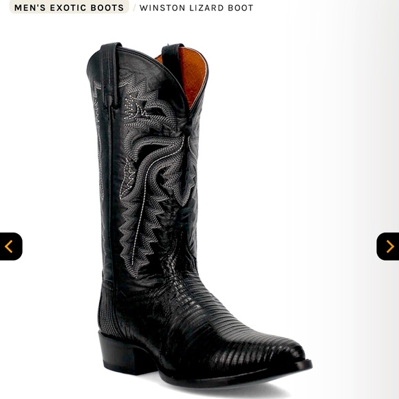 Dan Post Men's Winston Lizard Boots - Size 10.5D - EUC - Picture 7 of 11
